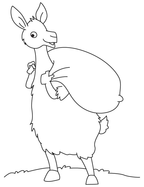 Fun with Llama coloring page