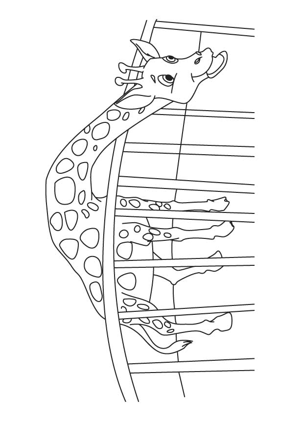 Giraffe in zoo coloring page