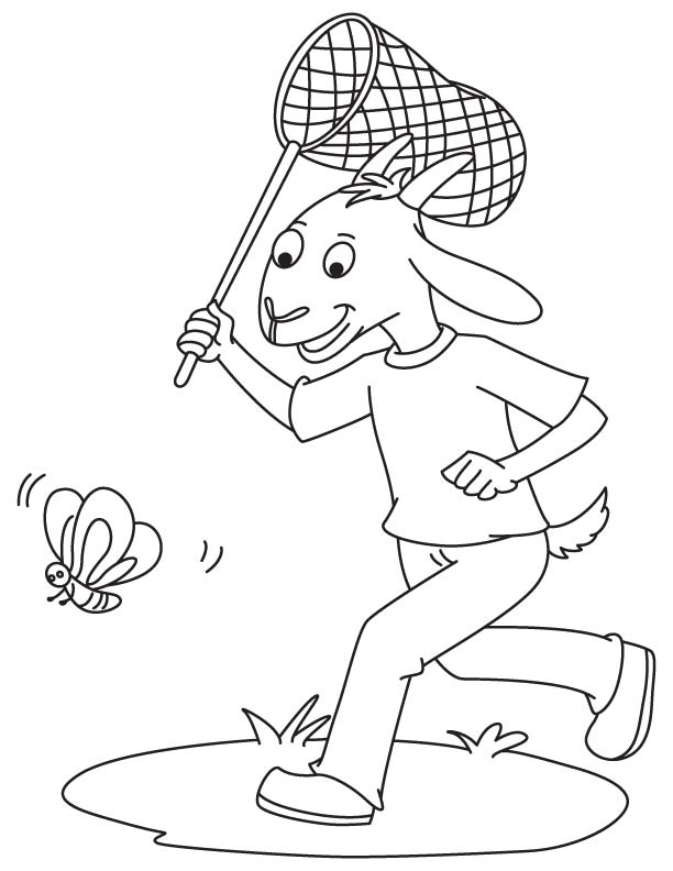 Goat running for butterfly coloring page