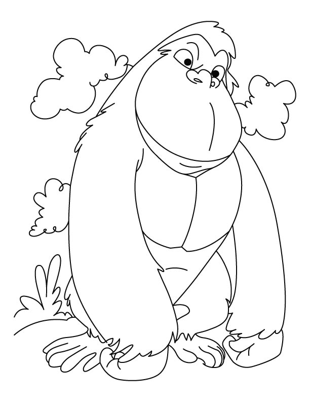 Winner gorilla coloring pages