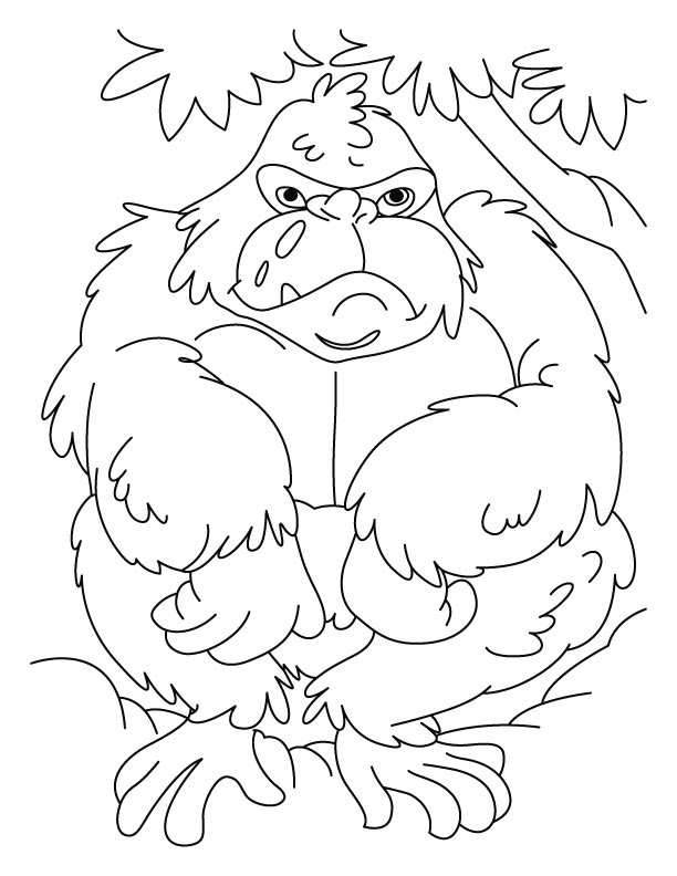 Fat gorilla coloring pages