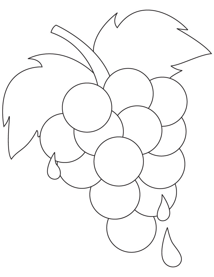 Fresh ripe grapes coloring pages