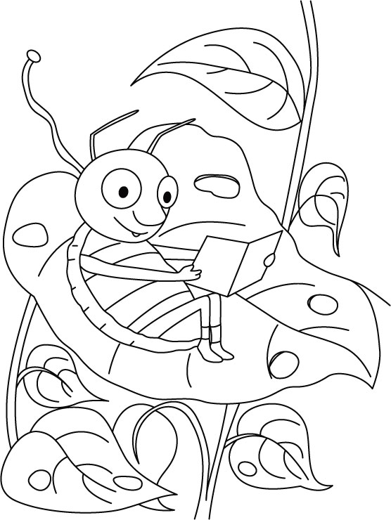 Grasshopper-carrying field research coloring pages