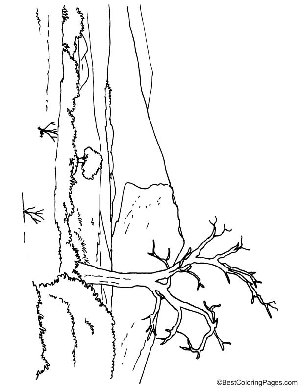 Green desert coloring page