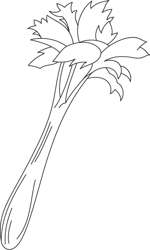 Growing celery coloring page