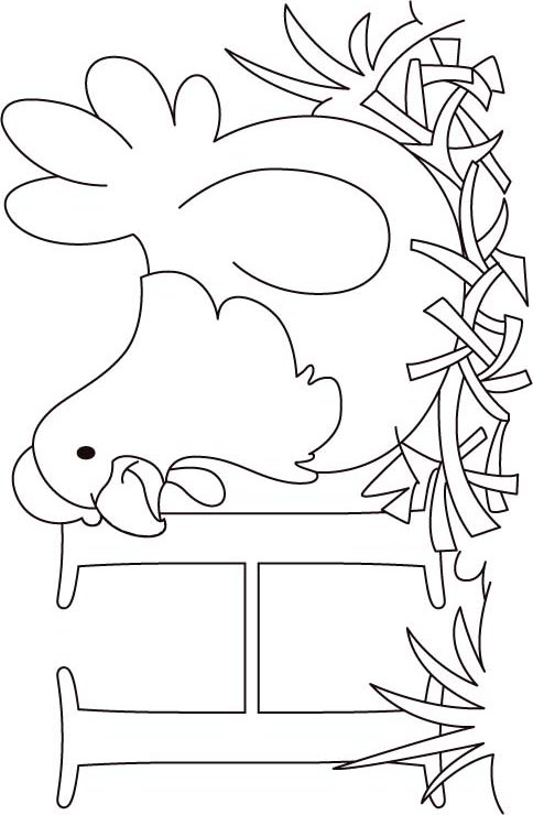 H for hen coloring page for kids