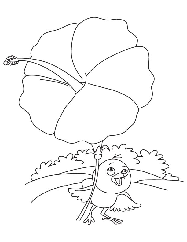 Hibiscus umbrella for bird coloring page