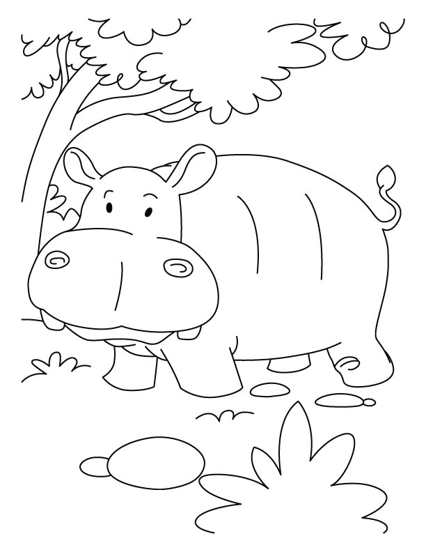 Hippopotamus in jumgle coloring pages