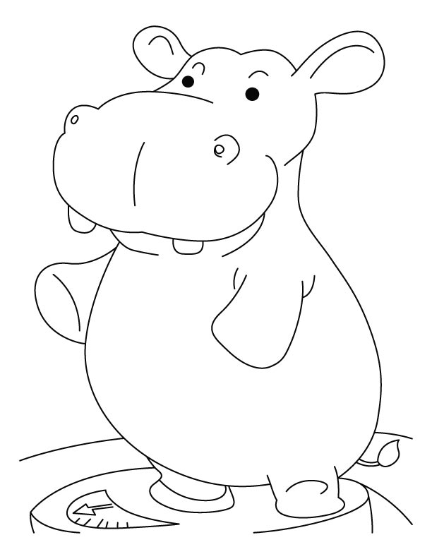 Heavy hippopotamus coloring pages