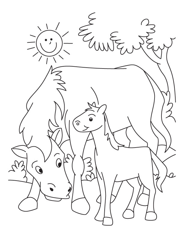 Horse and Colt coloring pages