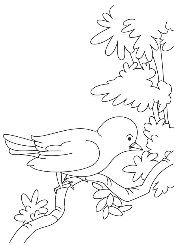 Hungry sparrow coloring page