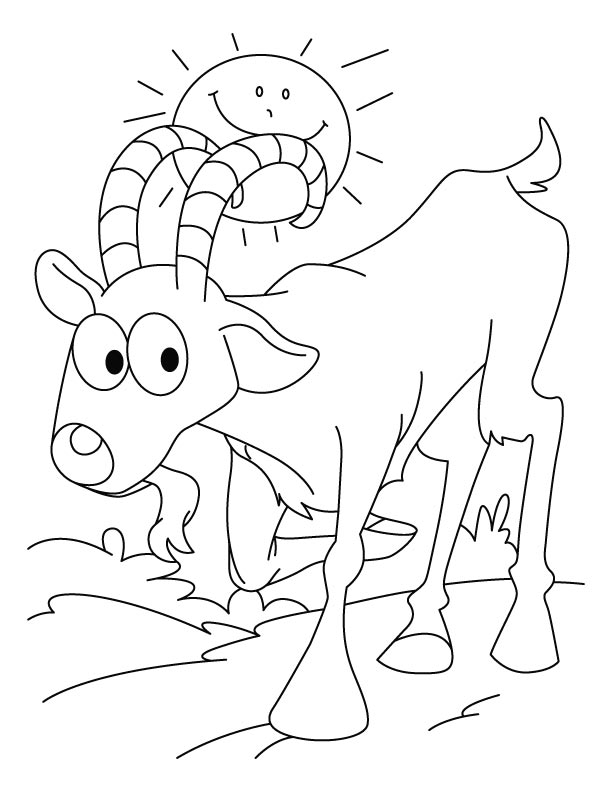 Ibex walking on sunny day coloring pages