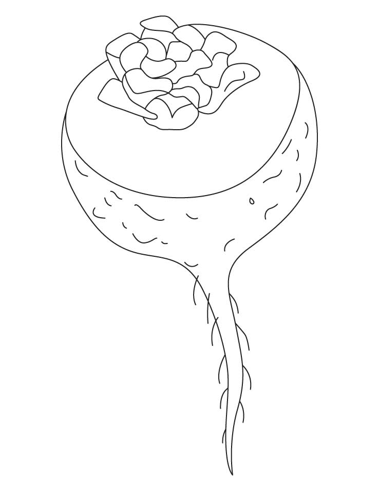 Indian turnip coloring page