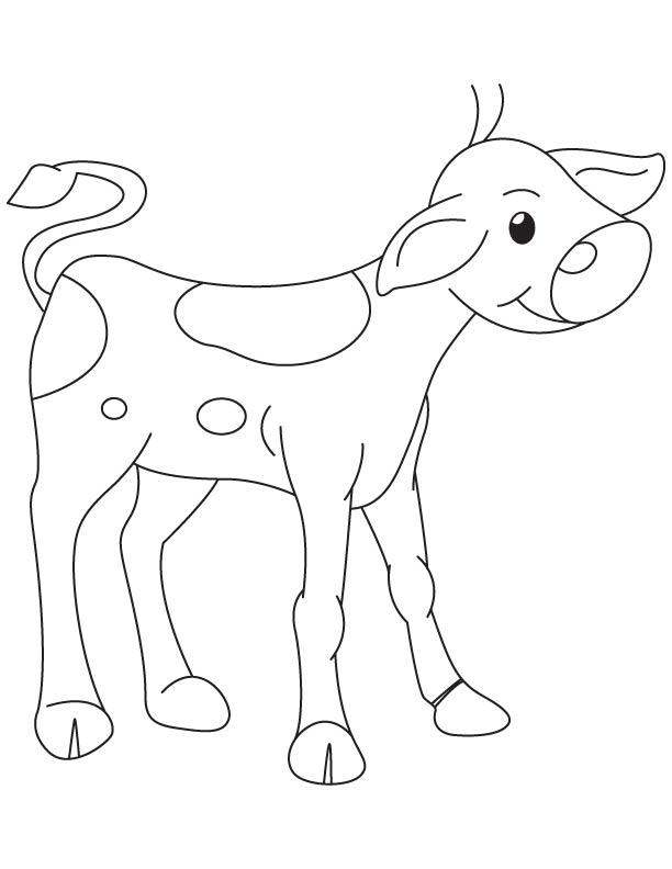 Innocent calf coloring page