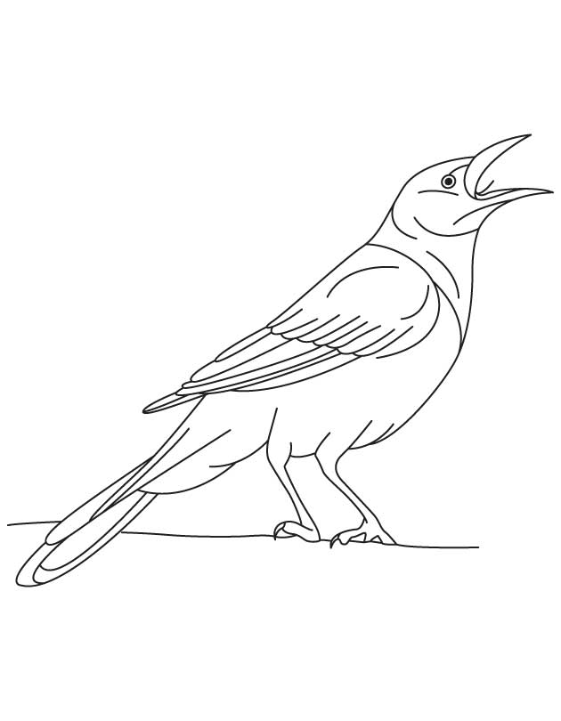 Iridescent grackle bird coloring page