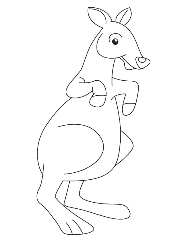 Kangaroo joey coloring page