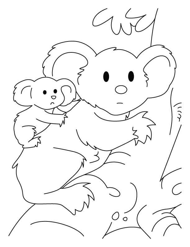 Koala with joey coloring pages