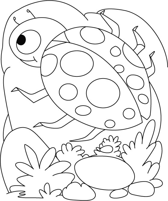 Ladybug egg shell coloring pages