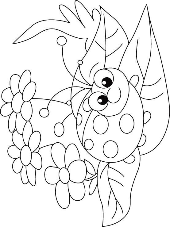 Ladybug on Flower rug coloring pages