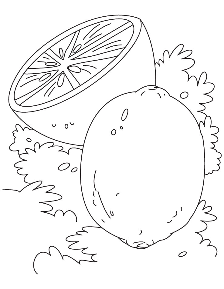 Lime and lemon coloring pages