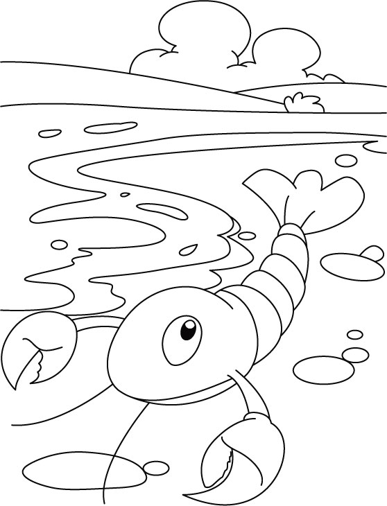 Little lobster coloring pages