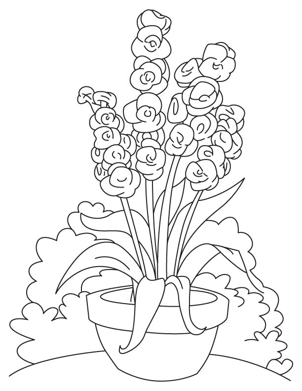 Long gladiolus flower coloring page