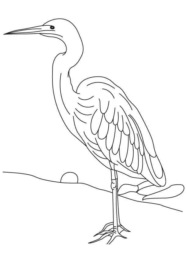 Long legged heron coloring page