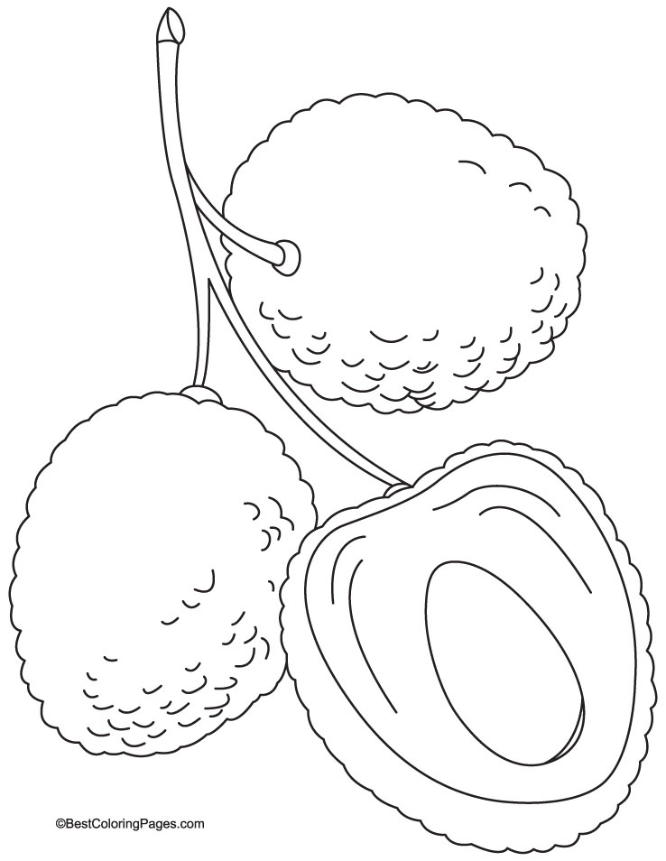Delicious juicy red lychee coloring page