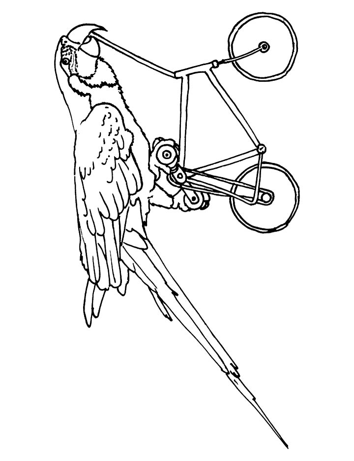 Macaw cycling coloring page