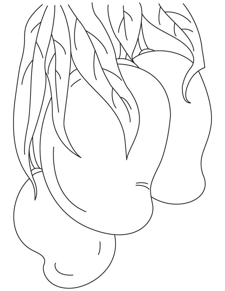 Bunch of mango coloring pages