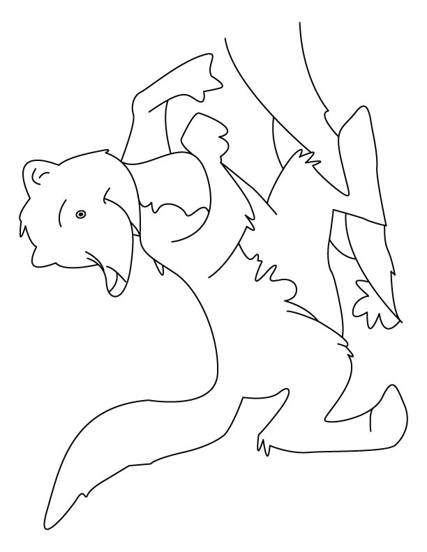 Giggling mongoose coloring pages