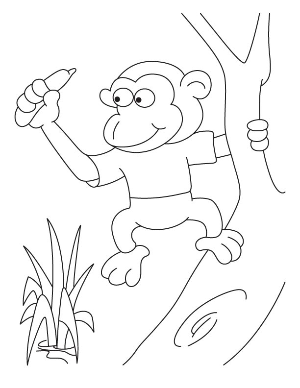 Pigmy monkey coloring pages