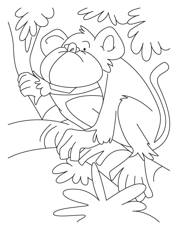 Howler monkey coloring pages