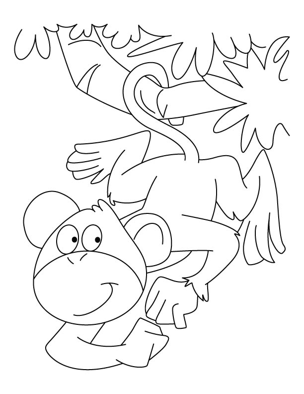 Spider monkey coloring pages