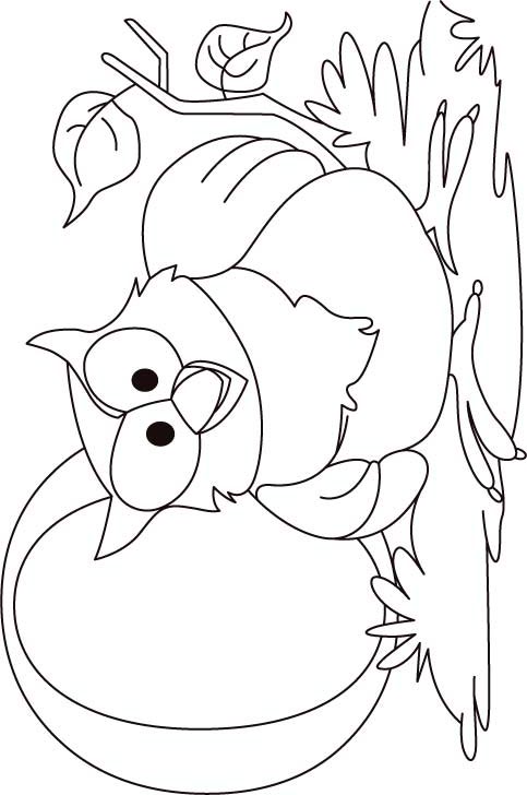 O for owl coloring page for kids