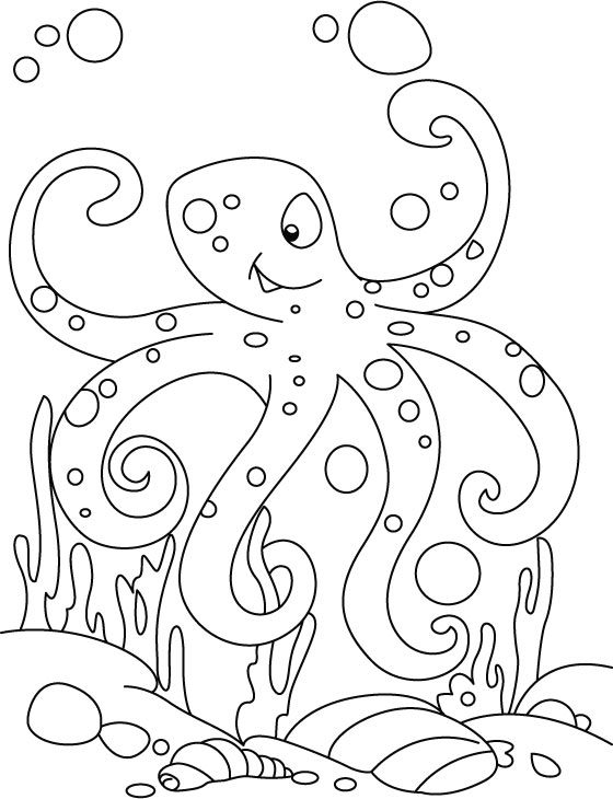 Muscular octopus coloring pages