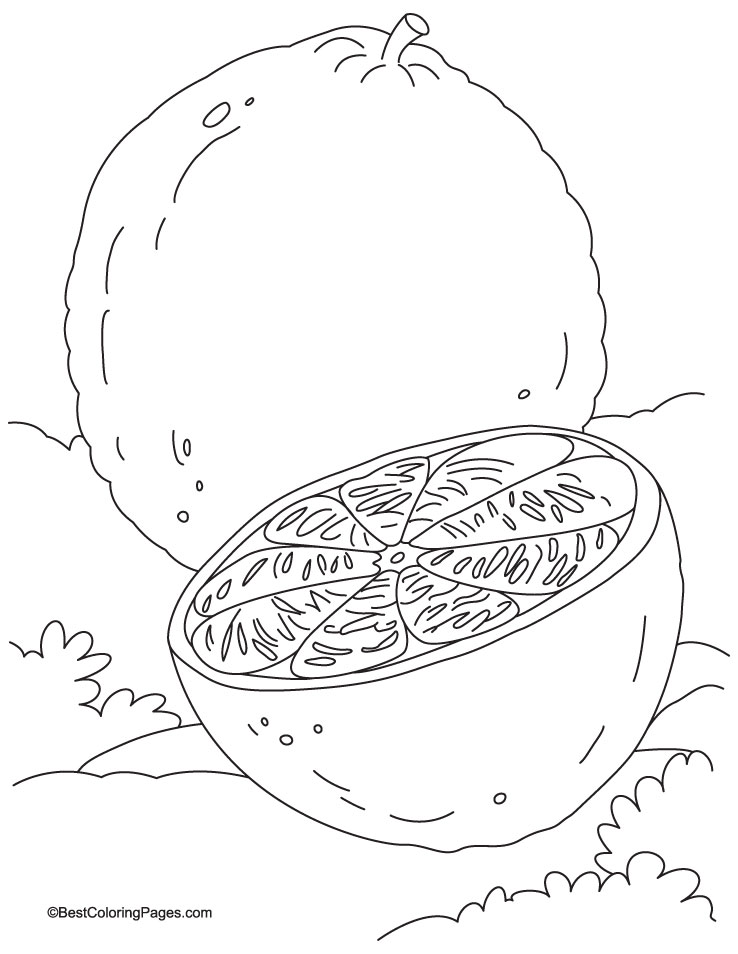 Orange and its half coloring page