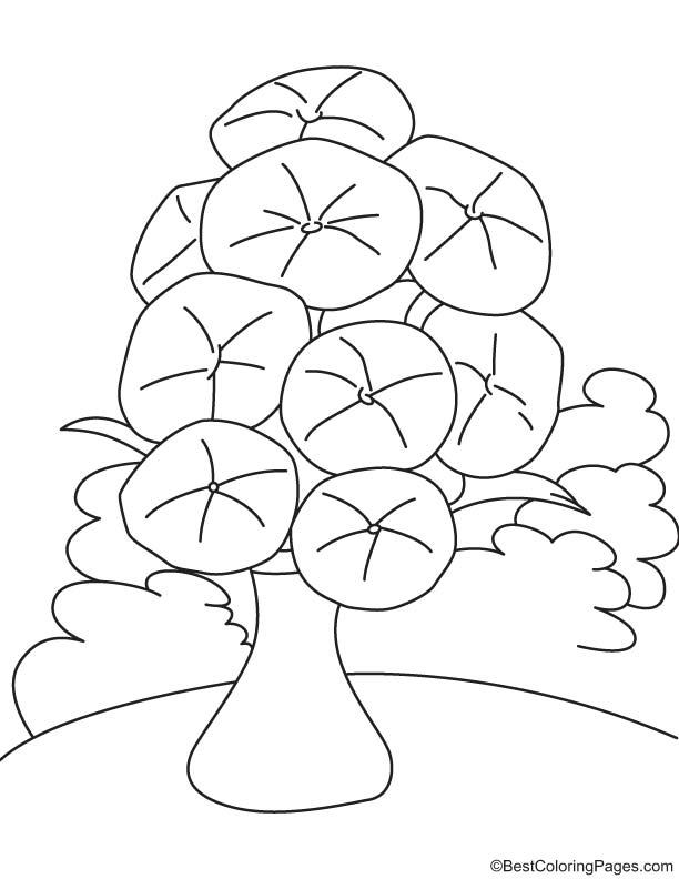 Orchid flower vase coloring page