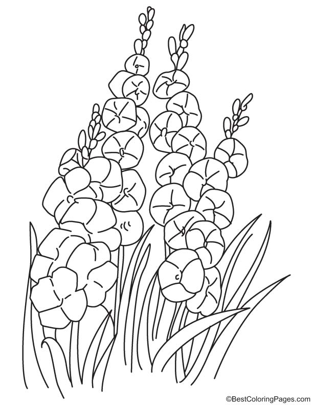 Orchid with bushes coloring page