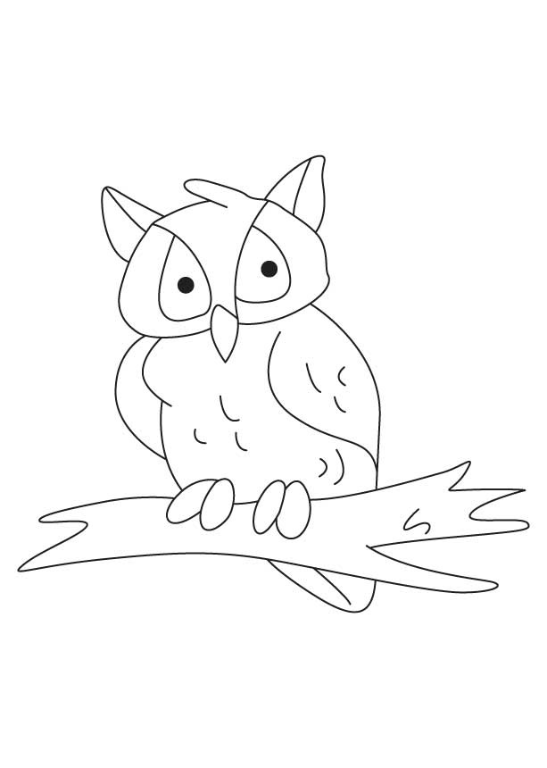 Owl at night coloring page