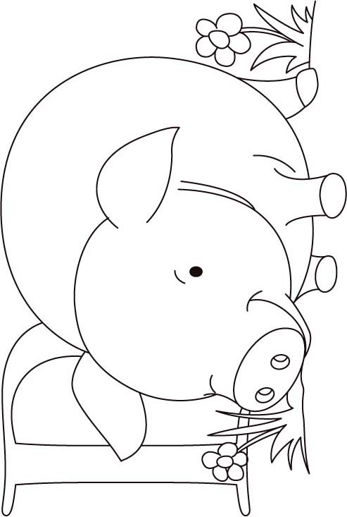 P for pig coloring page for kids