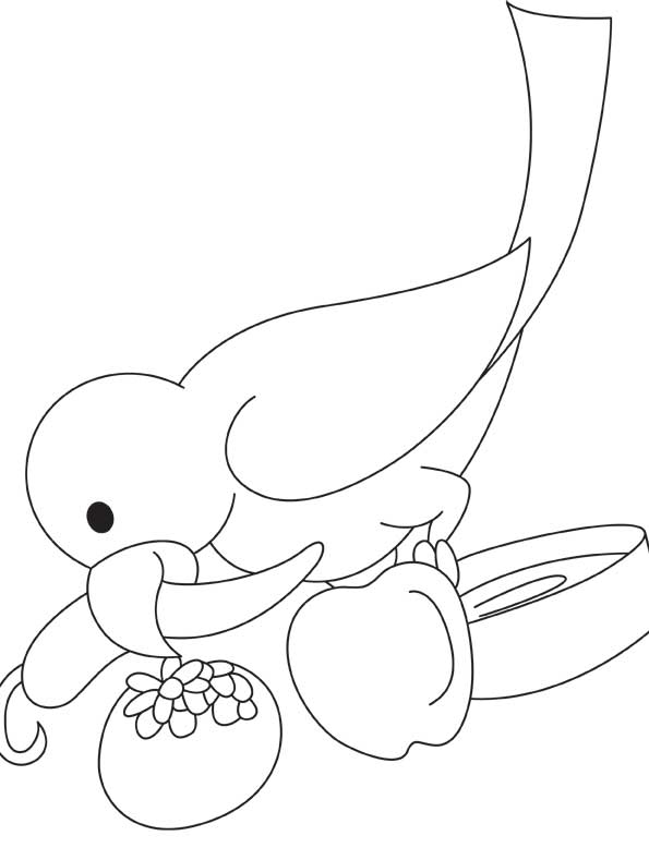 Parrot eating chili coloring page