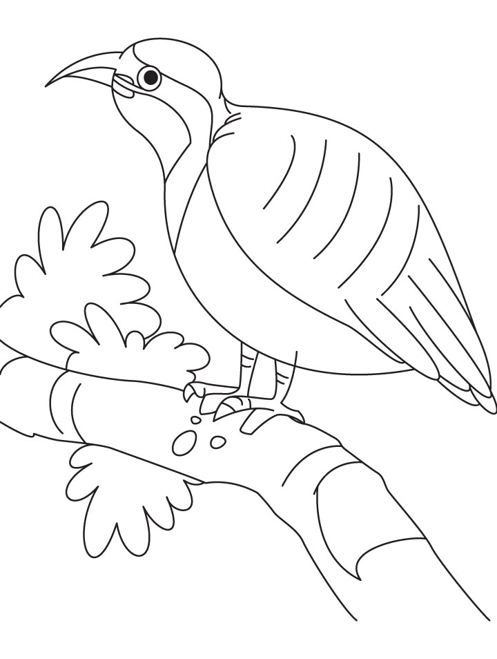Resting beautiful partridge coloring page