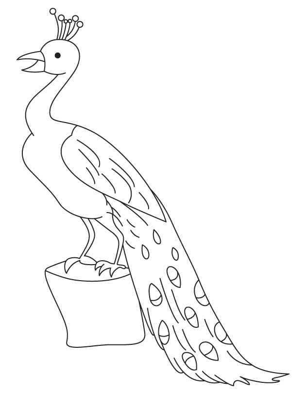 peacock perched on a log coloring page