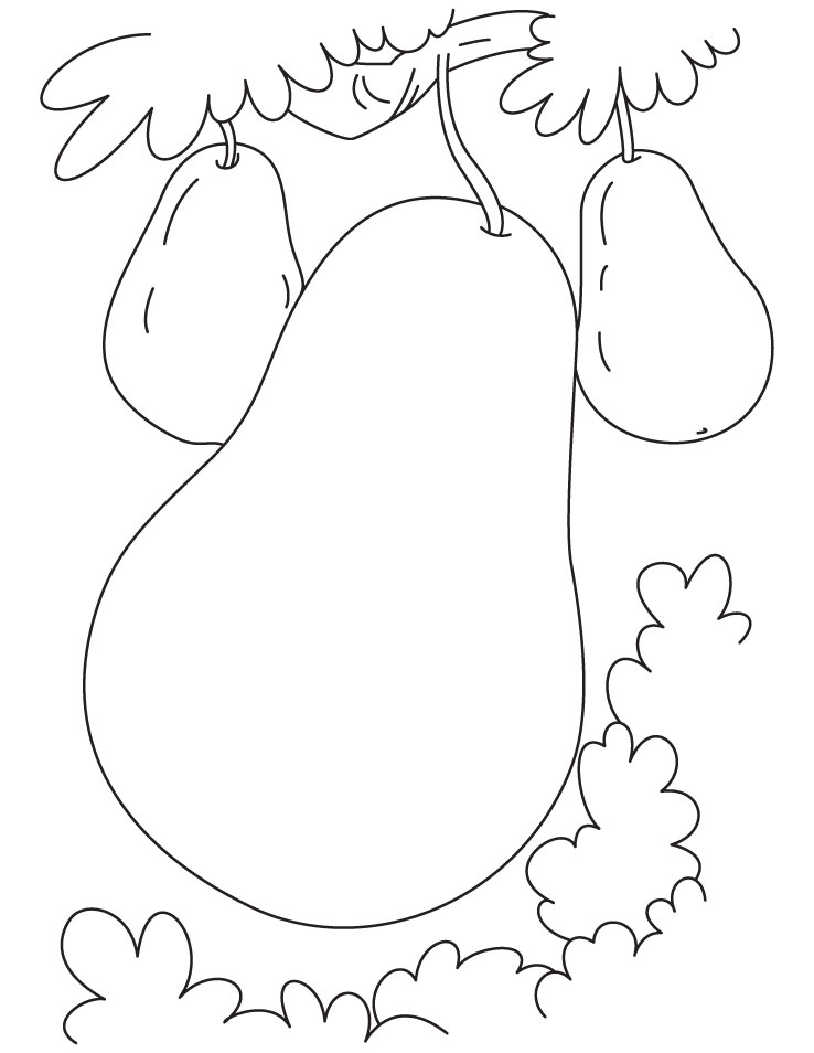 Big and small pear coloring pages