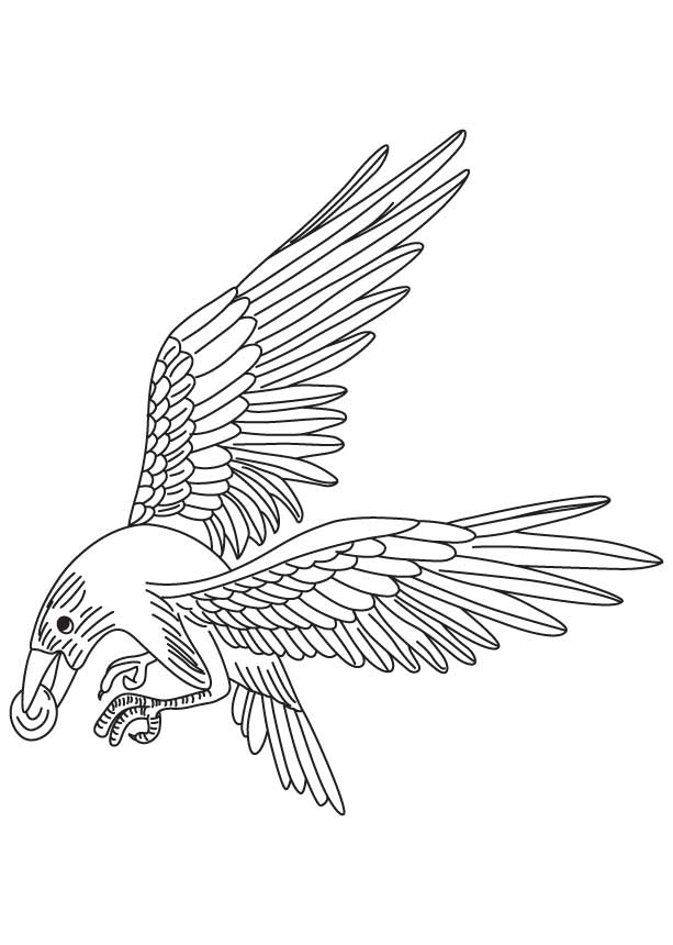 Pebble in the crows beak coloring page