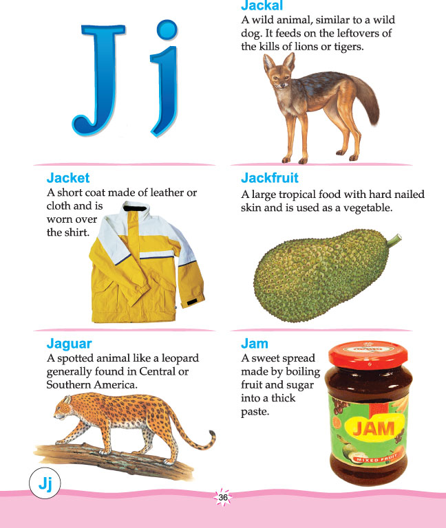 Printable picture dictionary alphabet j