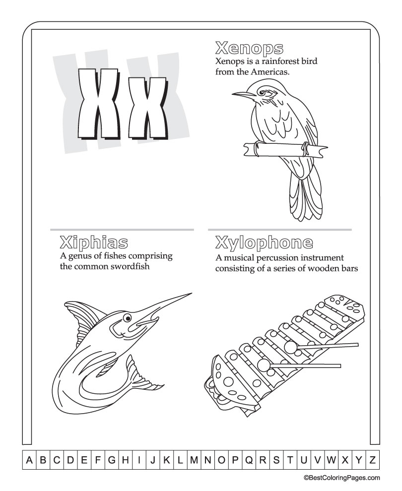 xenops coloring pages - photo #3