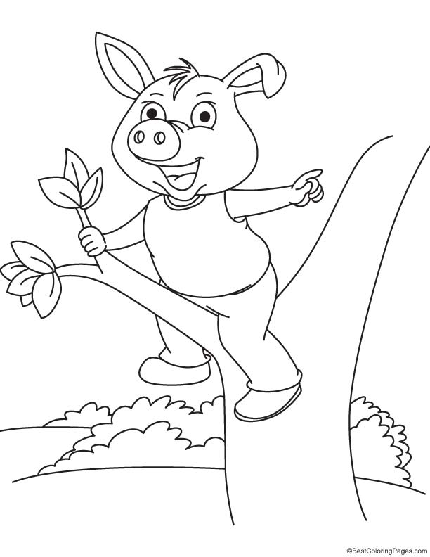 Pig on a tree coloring page
