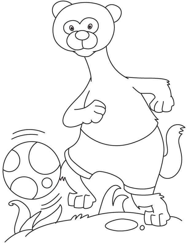 ferret in playful mood coloring page
